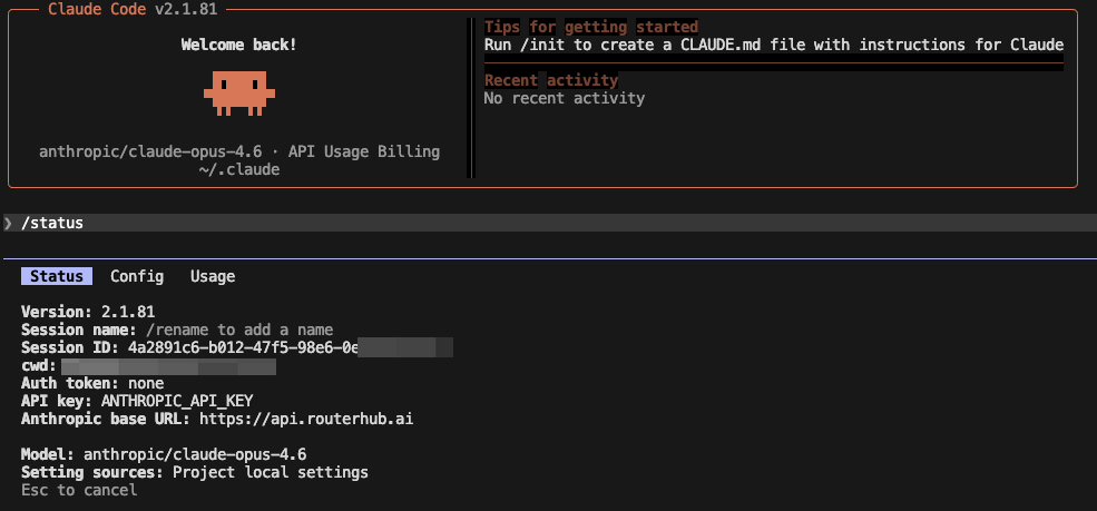Claude Code /status output showing RouterHub configuration